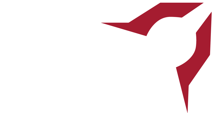 Carmesi Services